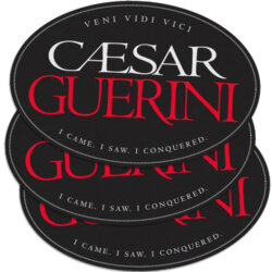 Veni Vidi Vici Oval Decal (6"x9")